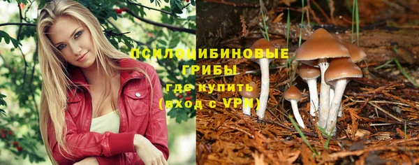 синтетический гашиш Кулебаки
