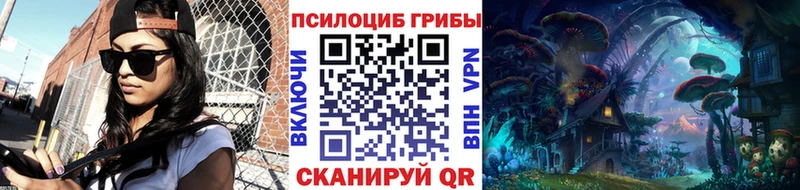 купить наркотики цена  Губаха  Галлюциногенные грибы Cubensis 