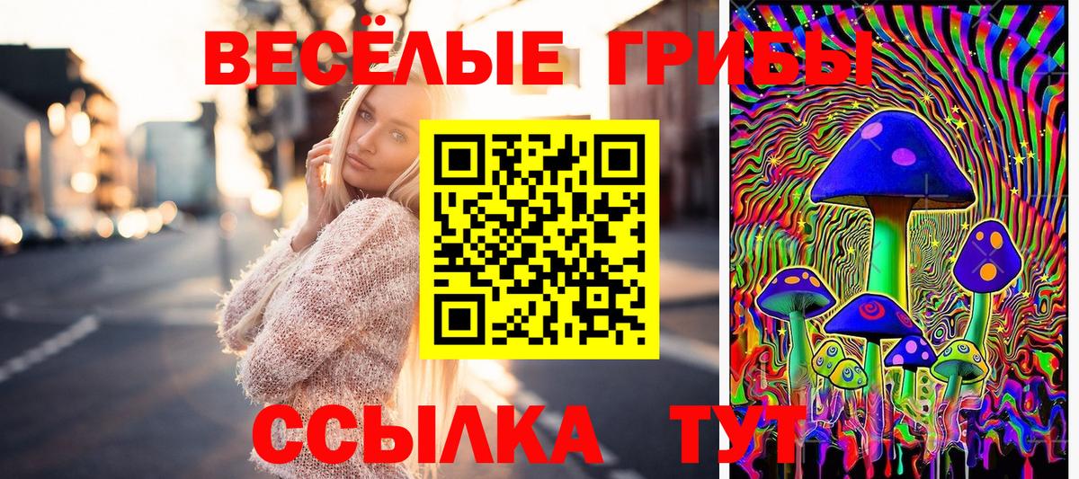 купить  цена  Губаха  Псилоцибиновые грибы GOLDEN TEACHER 